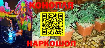 mdpv Новокубанск