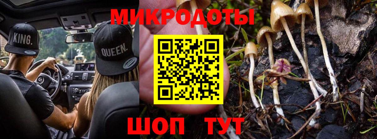 Галлюциногенные грибы Psilocybe  Вход с VPN  Псилоцибиновые грибы Psilocybe  Сургут 